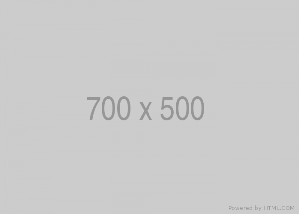700x500
